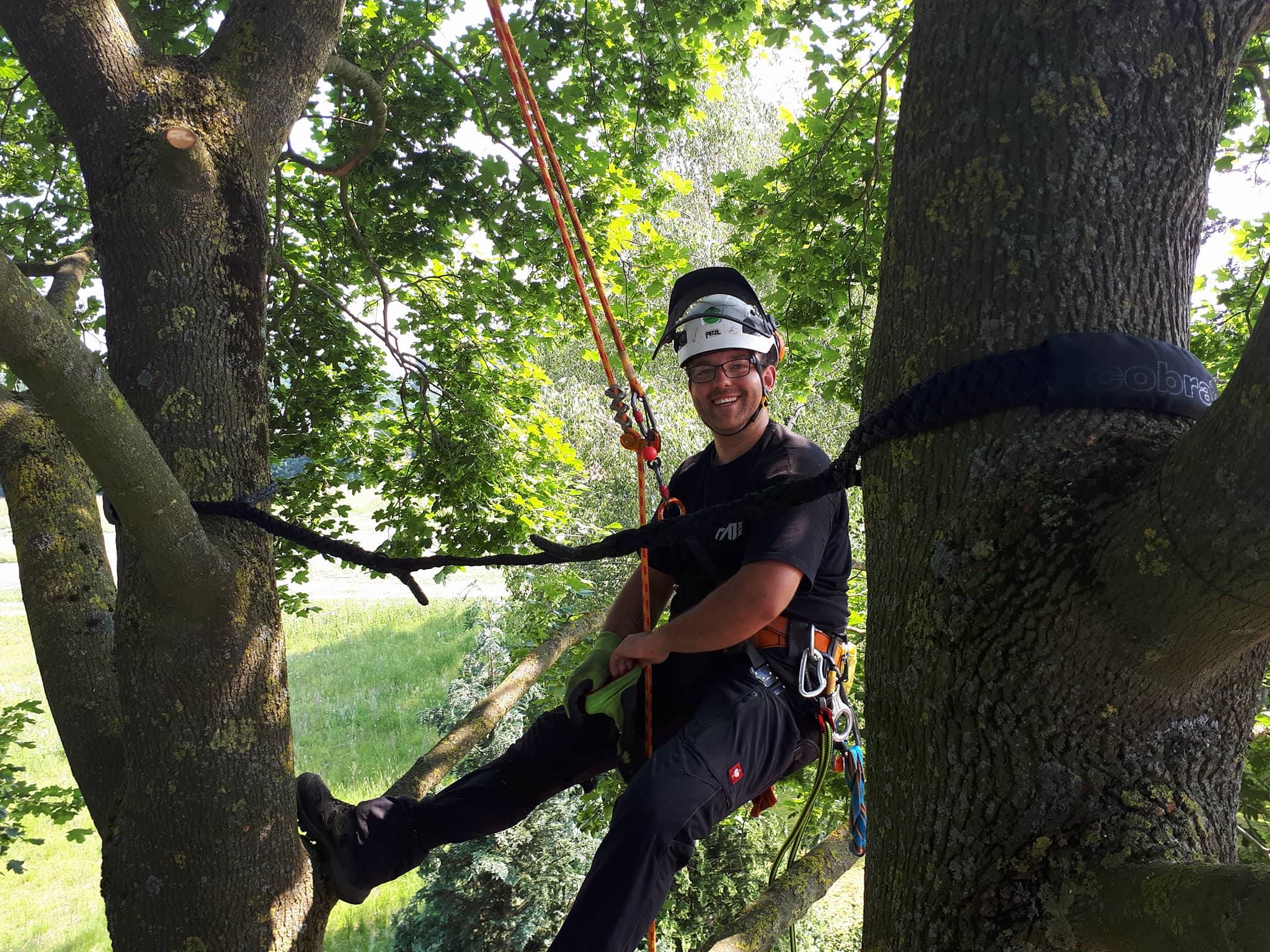 Baumpfleger von Heidemann Baumpflege im Baum mit Kletterausrüstung
